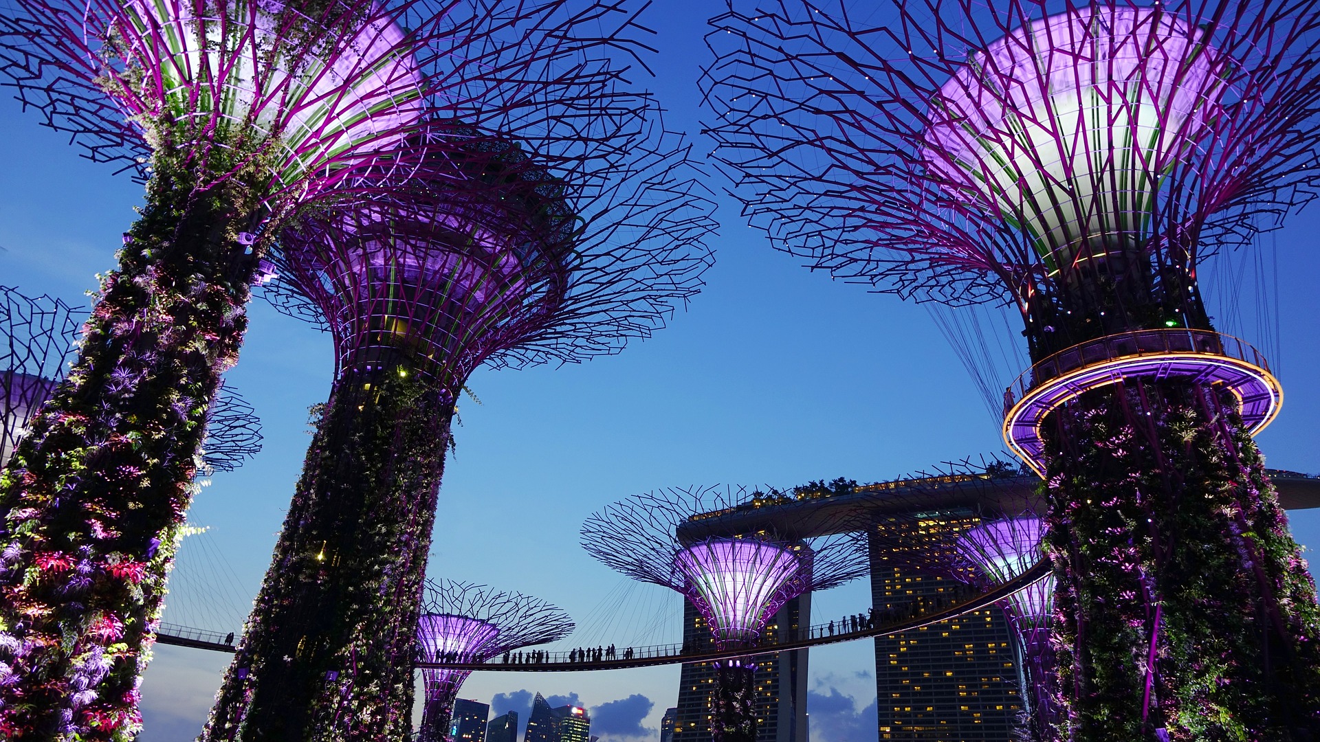 GDI Asia Pacific: Just one Month To Go