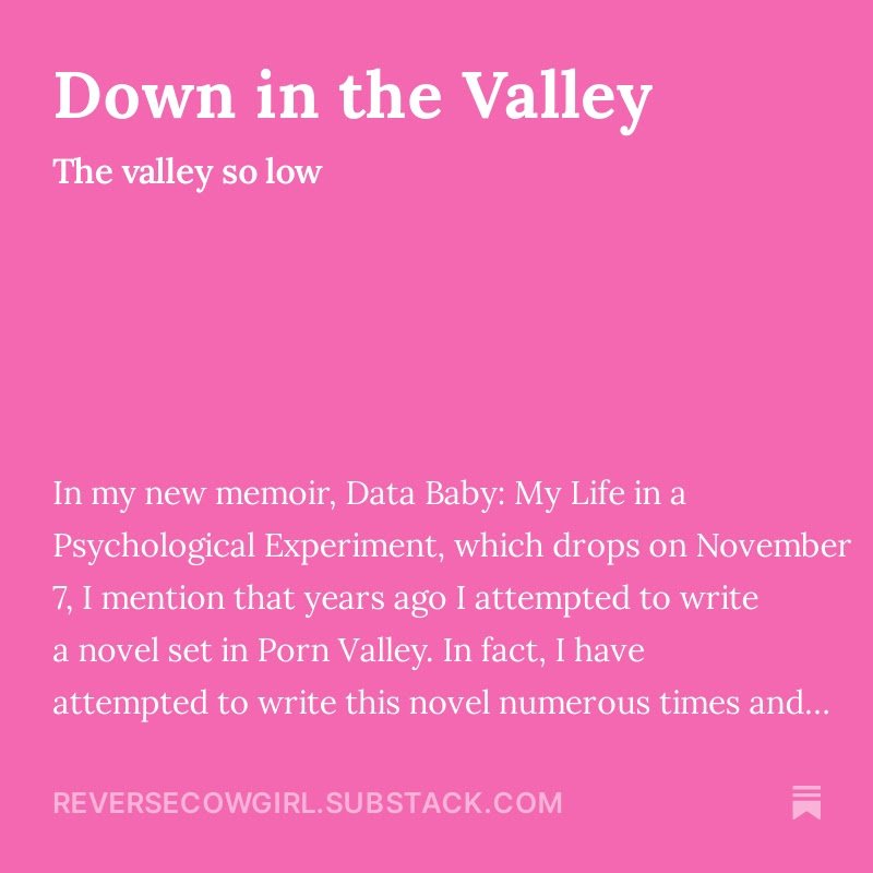 Porn Valley, United states of america — SUSANNAH BRESLIN