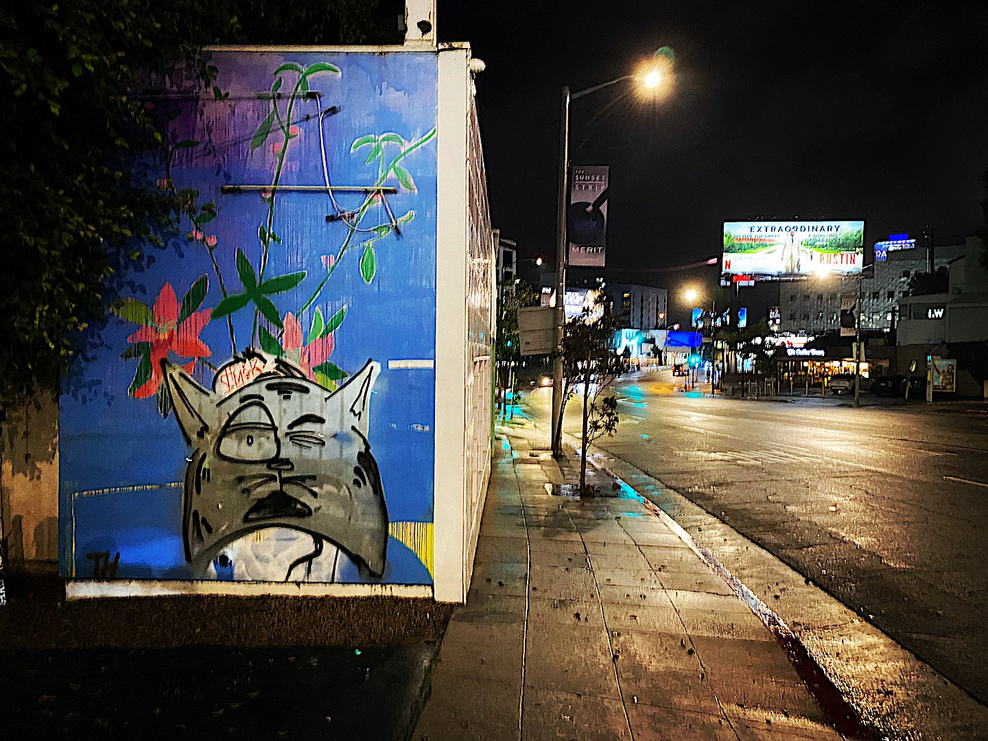 Sunset Boulevard at Evening