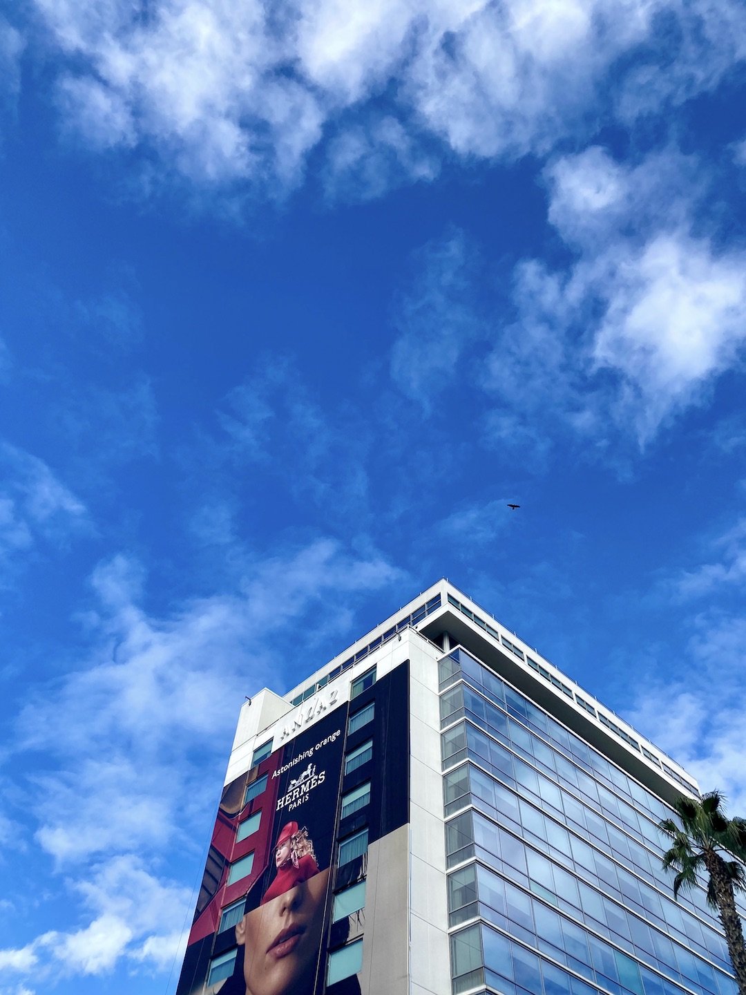 The Woman in the Sky